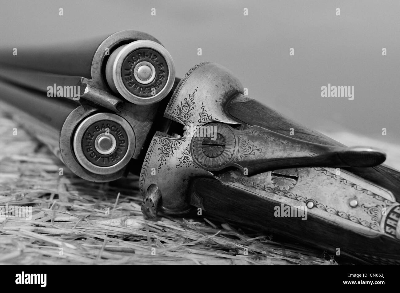 Webley e Scott 12 Gauge fianco a fianco con il fucile B & P Italiano 2 ½ pollici gusci Shotgun Foto Stock