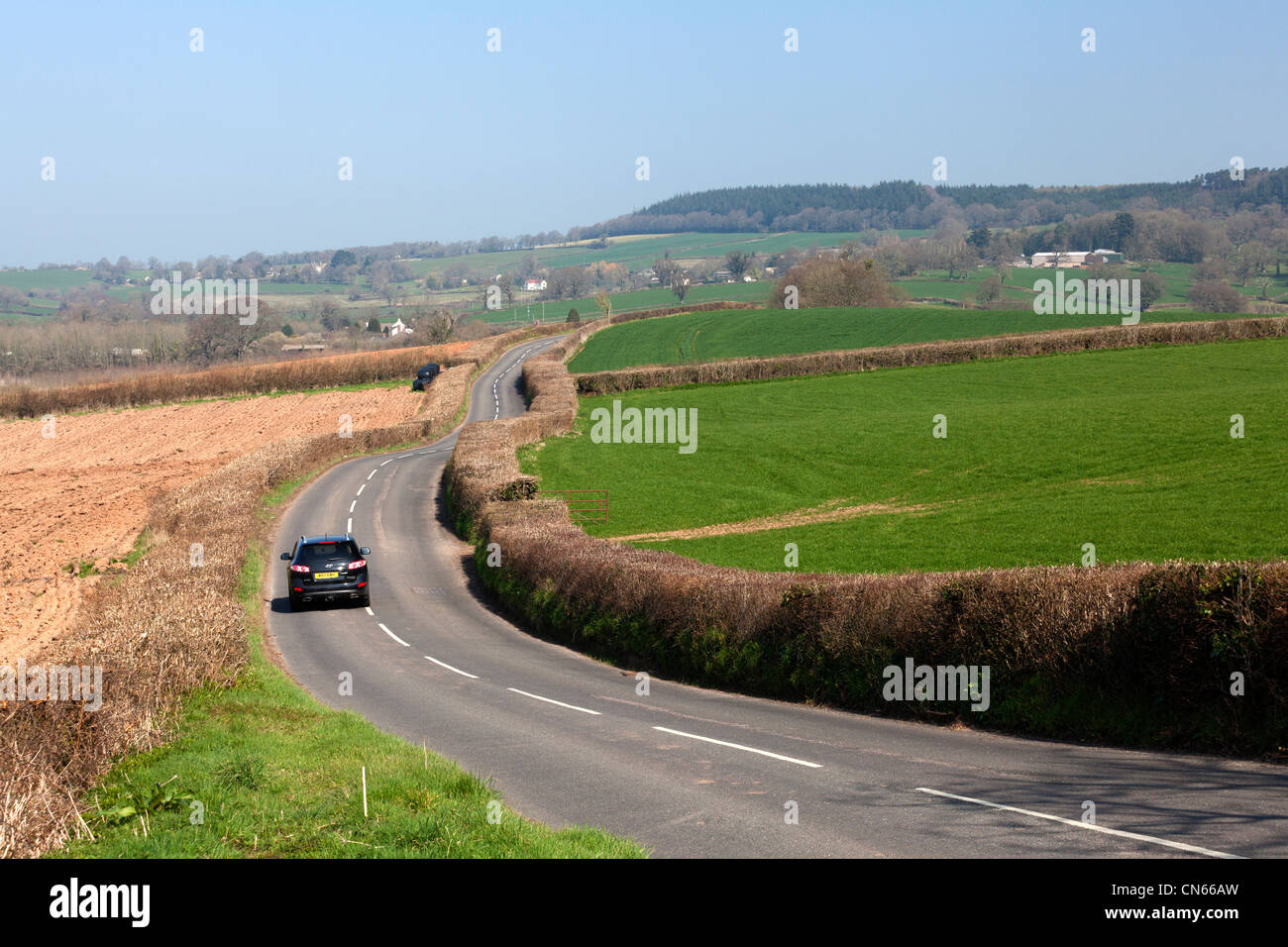 Auto su un avvolgimento country road vicino Colyton, Devon Foto Stock