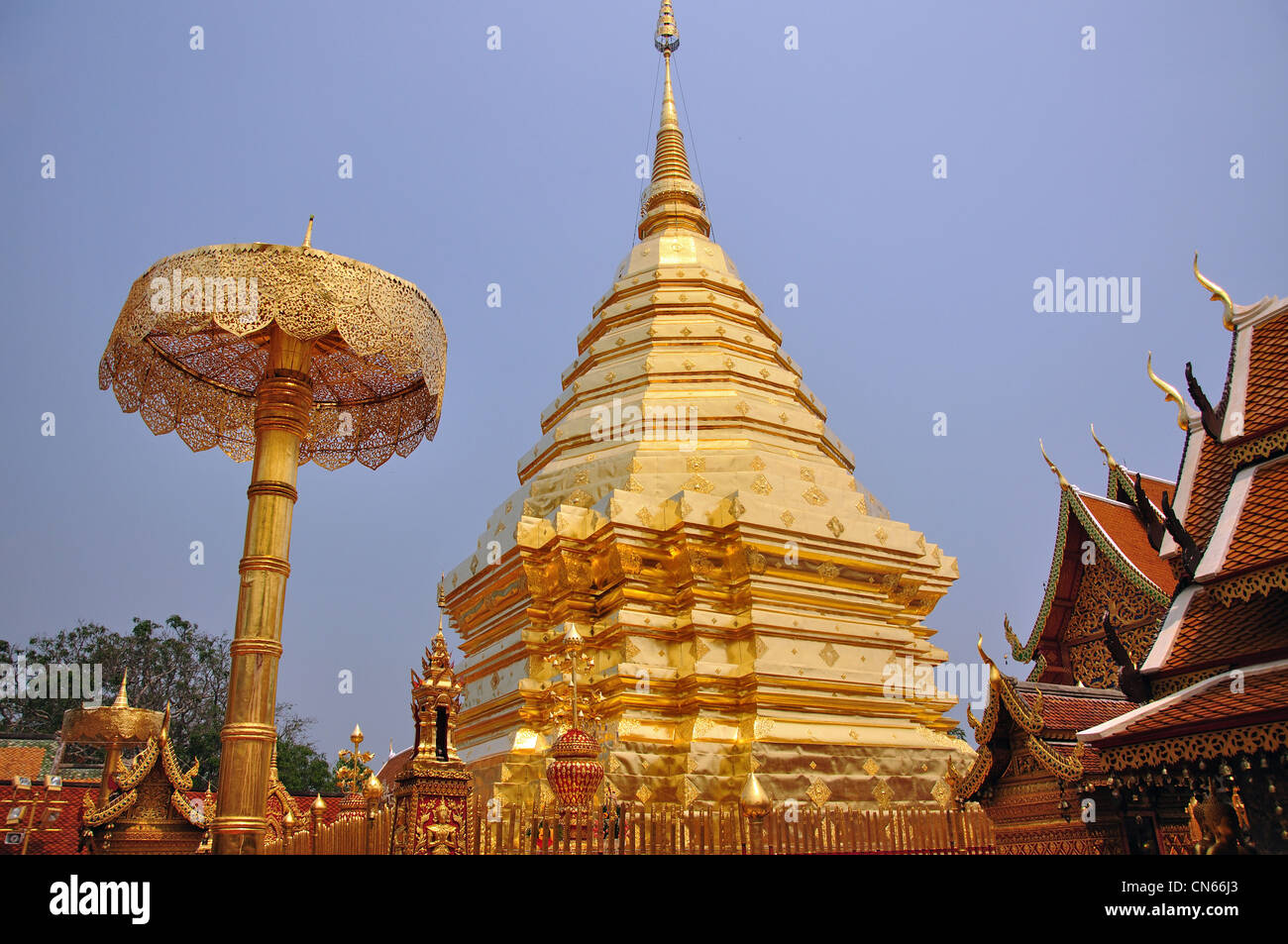 Golden chedi a Wat Phrathat Doi Suthep tempio buddista, il Doi Suthep, Chiang Mai e Chiang Mai Provincia, Thailandia Foto Stock