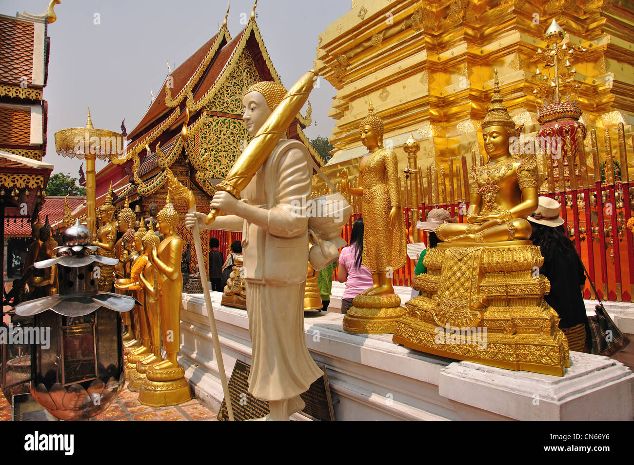 Santuario con golden Buddha, Wat Phrathat Doi Suthep tempio buddista, il Doi Suthep, Chiang Mai e Chiang Mai Provincia, Thailandia Foto Stock