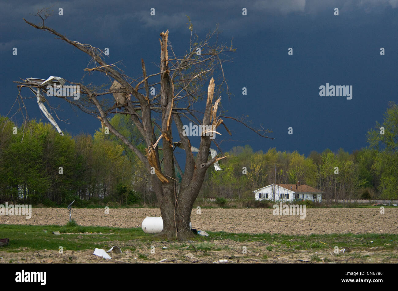 Nuvole temporalesche su albero danneggiata con i detriti in rami dal 2 marzo Tornado in Holton, Indiana Foto Stock