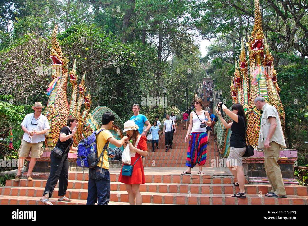 Le scale che portano al Wat Phrathat Doi Suthep tempio buddista, il Doi Suthep, Chiang Mai e Chiang Mai Provincia, Thailandia Foto Stock