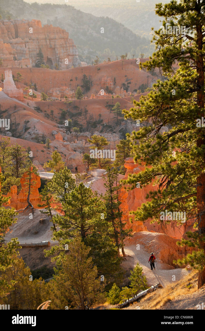 Gli escursionisti in Utah Bryce Canyon National Park. Foto Stock