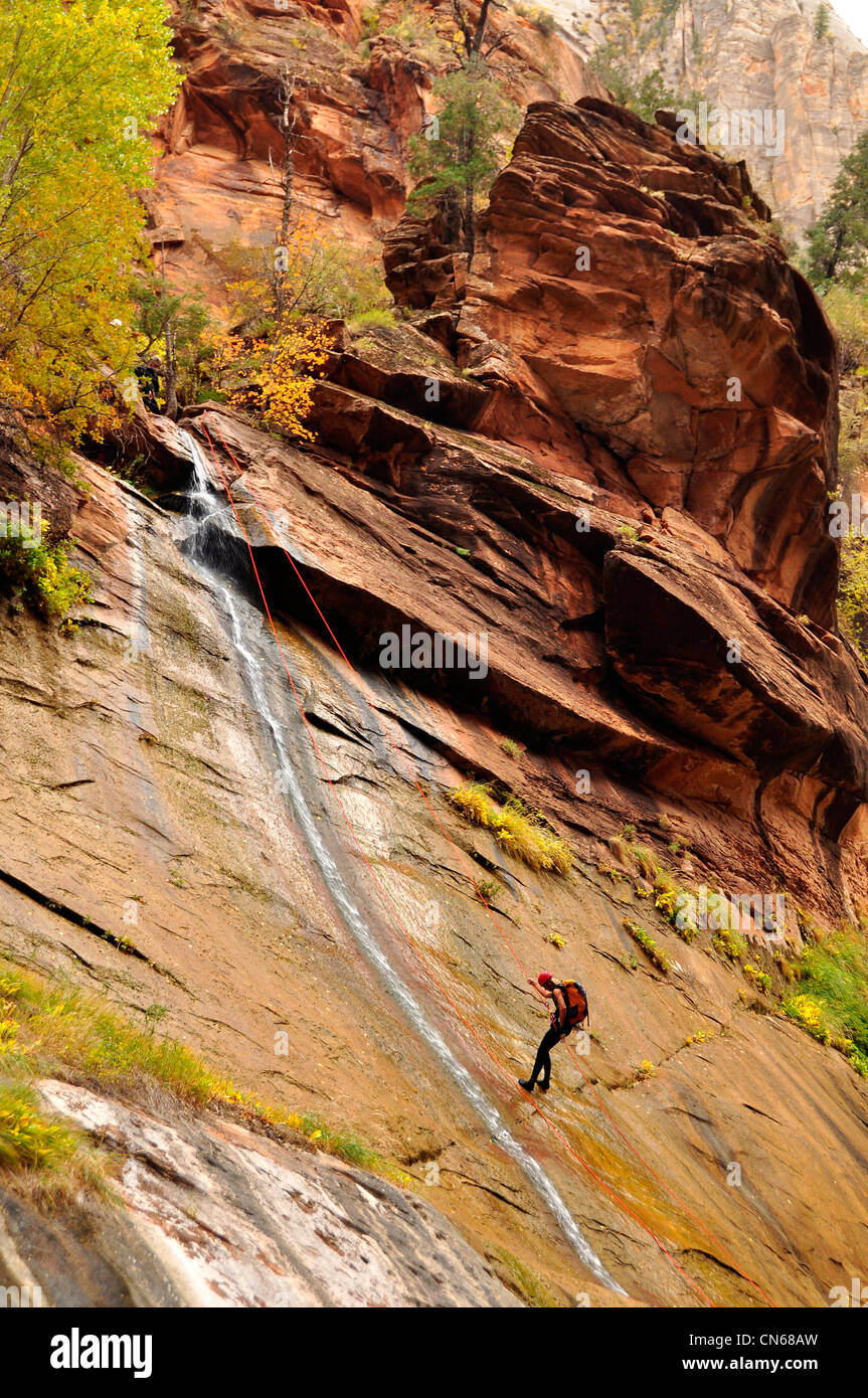 Rappelling in Utah's Zion Canyon. Foto Stock