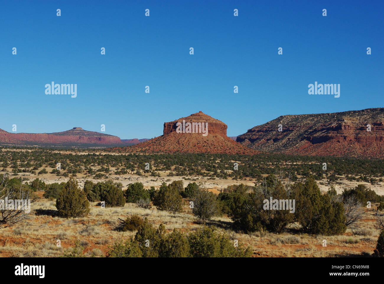 Round red rock hill vicino Canyon Bianco, Utah Foto Stock