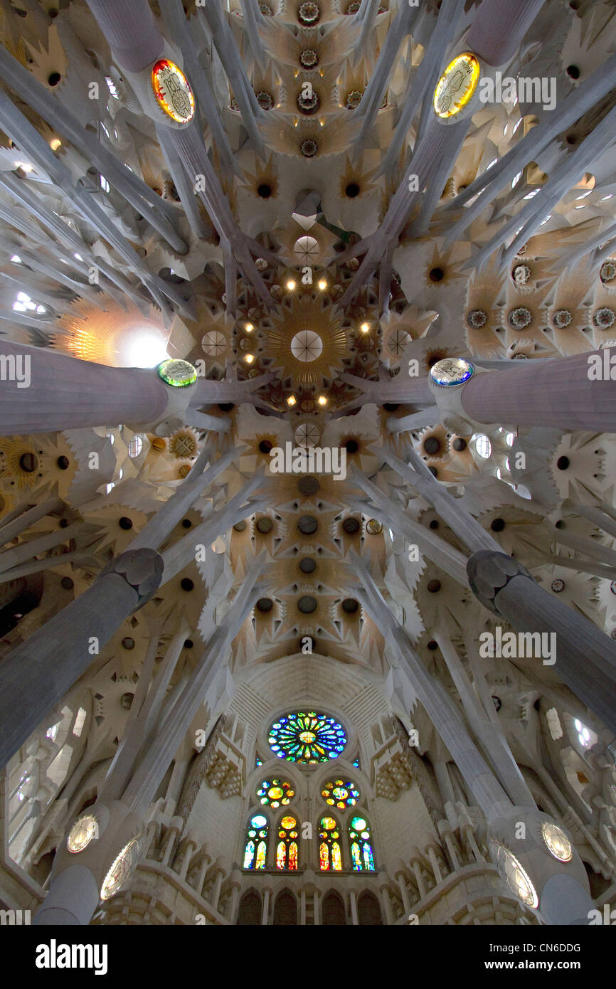 Il tetto dell'interno di Antoni Gaudi Sagrada Familia Foto Stock