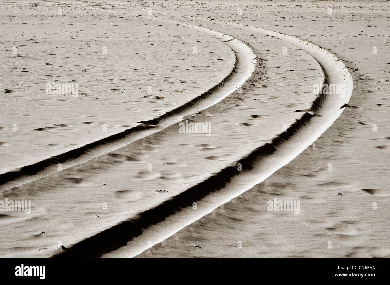 Veicolo via, tracce di pneumatici sulla spiaggia sabbiosa.piste curve, curvando tracce di pneumatici. Foto Stock