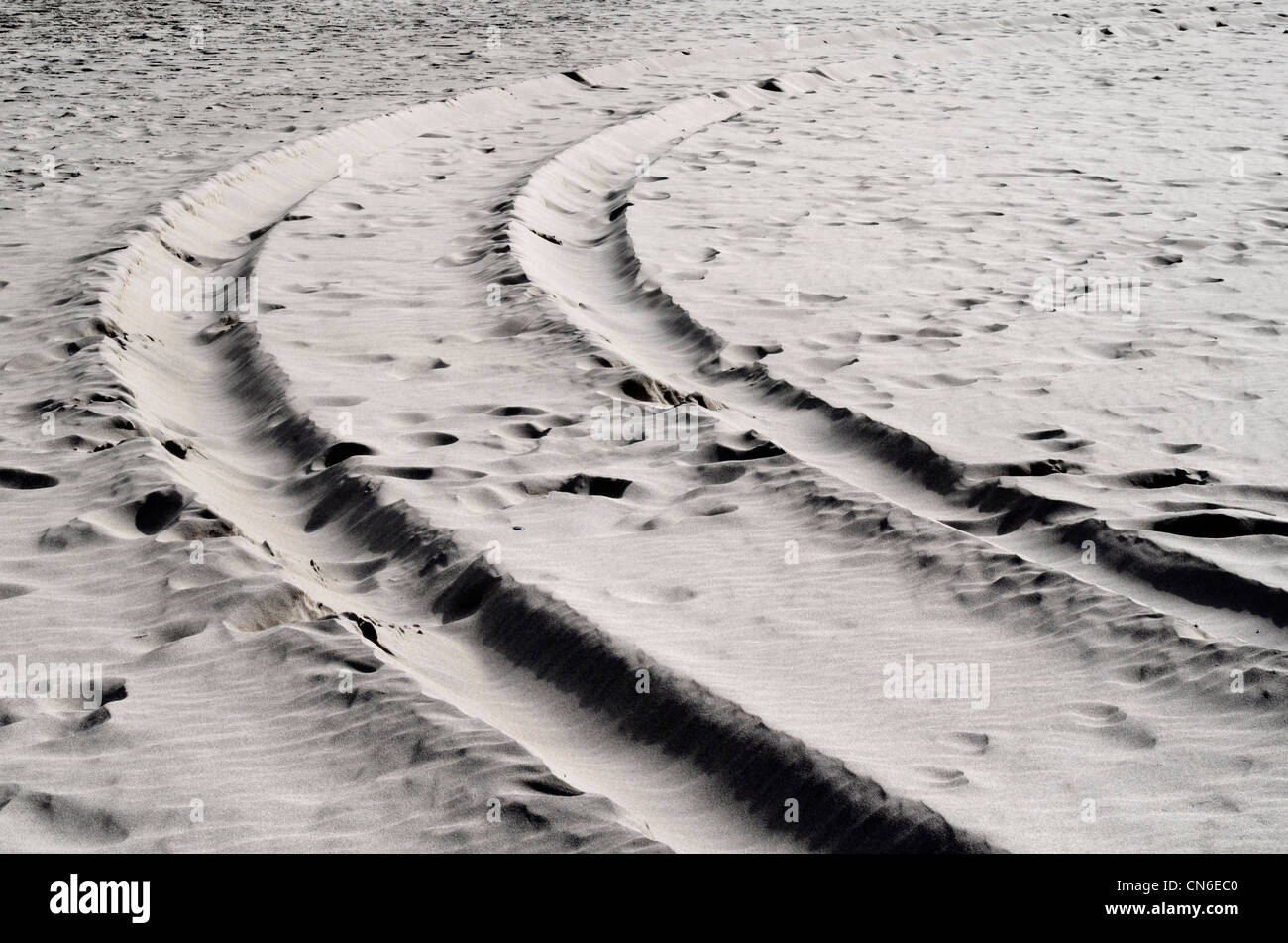 Veicolo via, tracce di pneumatici sulla spiaggia sabbiosa.piste curve, curvando tracce di pneumatici. Foto Stock