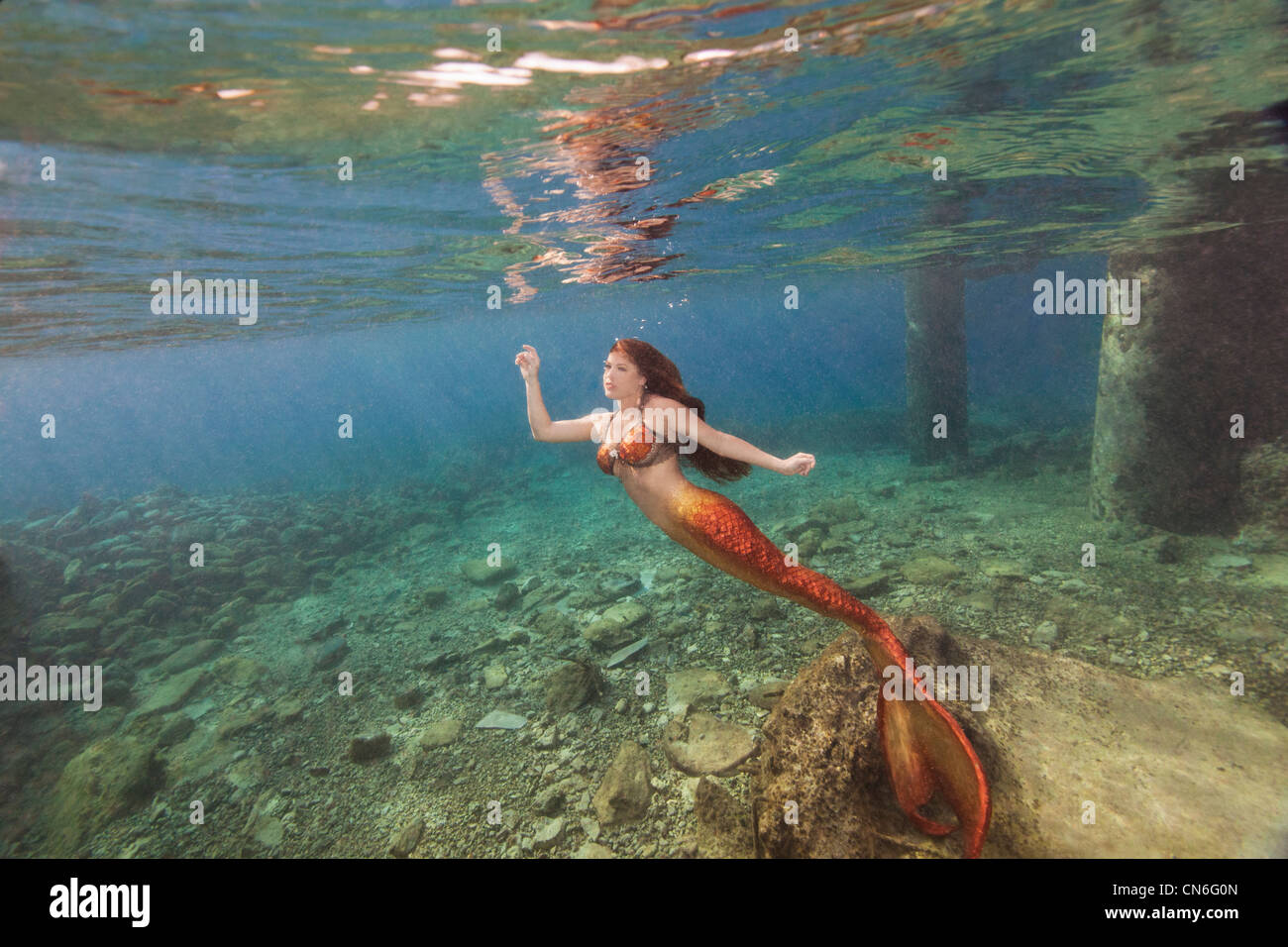 Mermaid nuoto alla superficie dell'acqua in Cozumel Messico Foto Stock