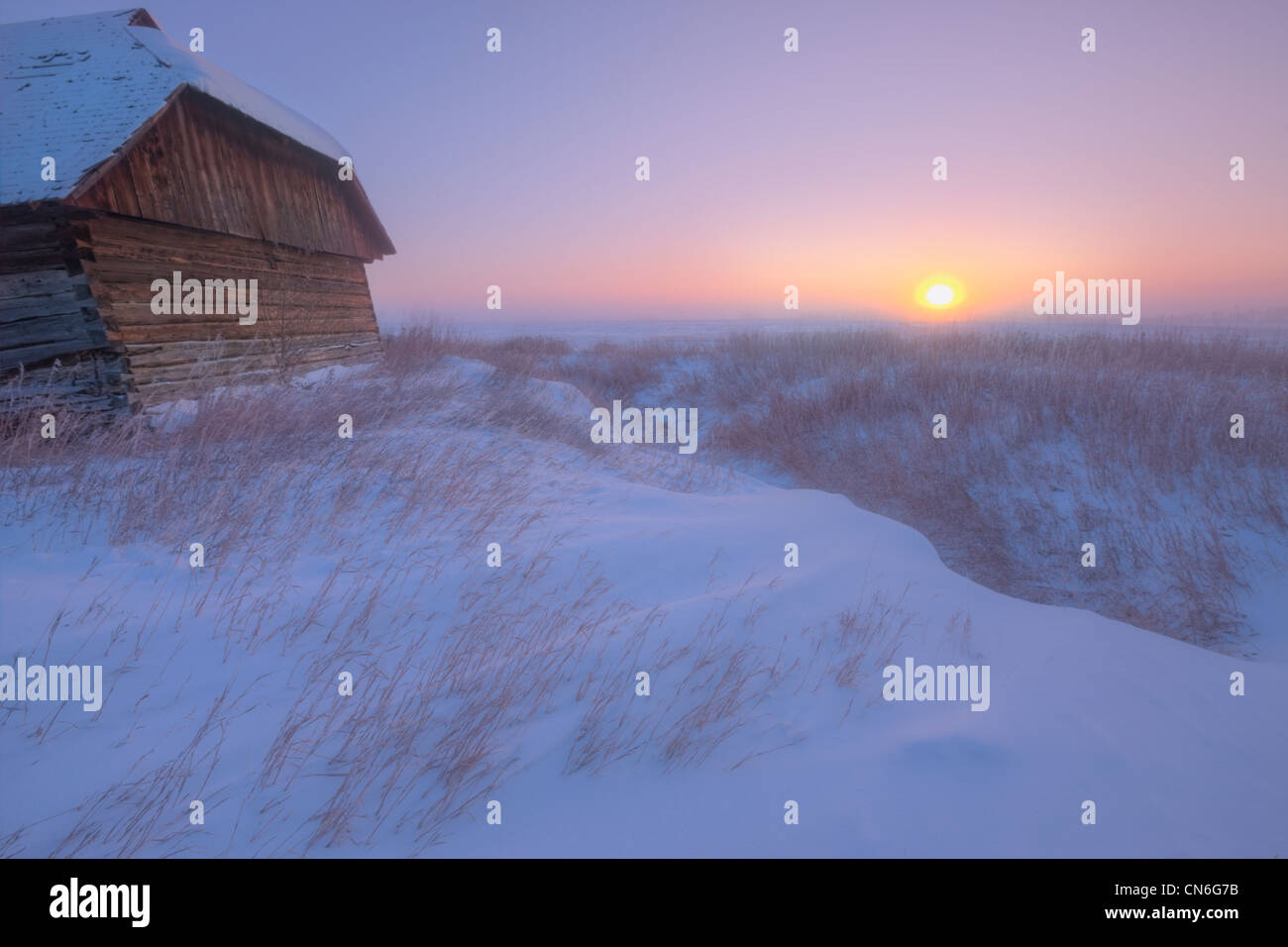 Sunrise su abbandonati, coperta di neve homestead, -40 gradi centigradi, Alberta prairie Foto Stock