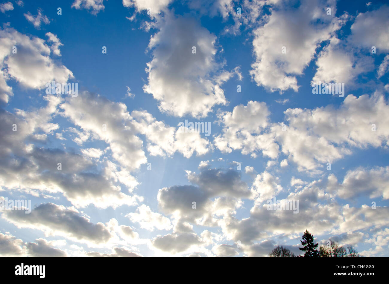 Sfondo della torbida molla blu cielo soleggiato da Sun e alcuni tree tops in distanza. Foto Stock