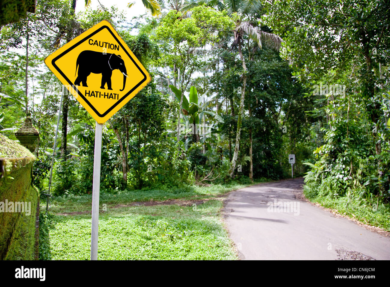Elephant cartello segnaletico. Bali Indonesia. Foto Stock
