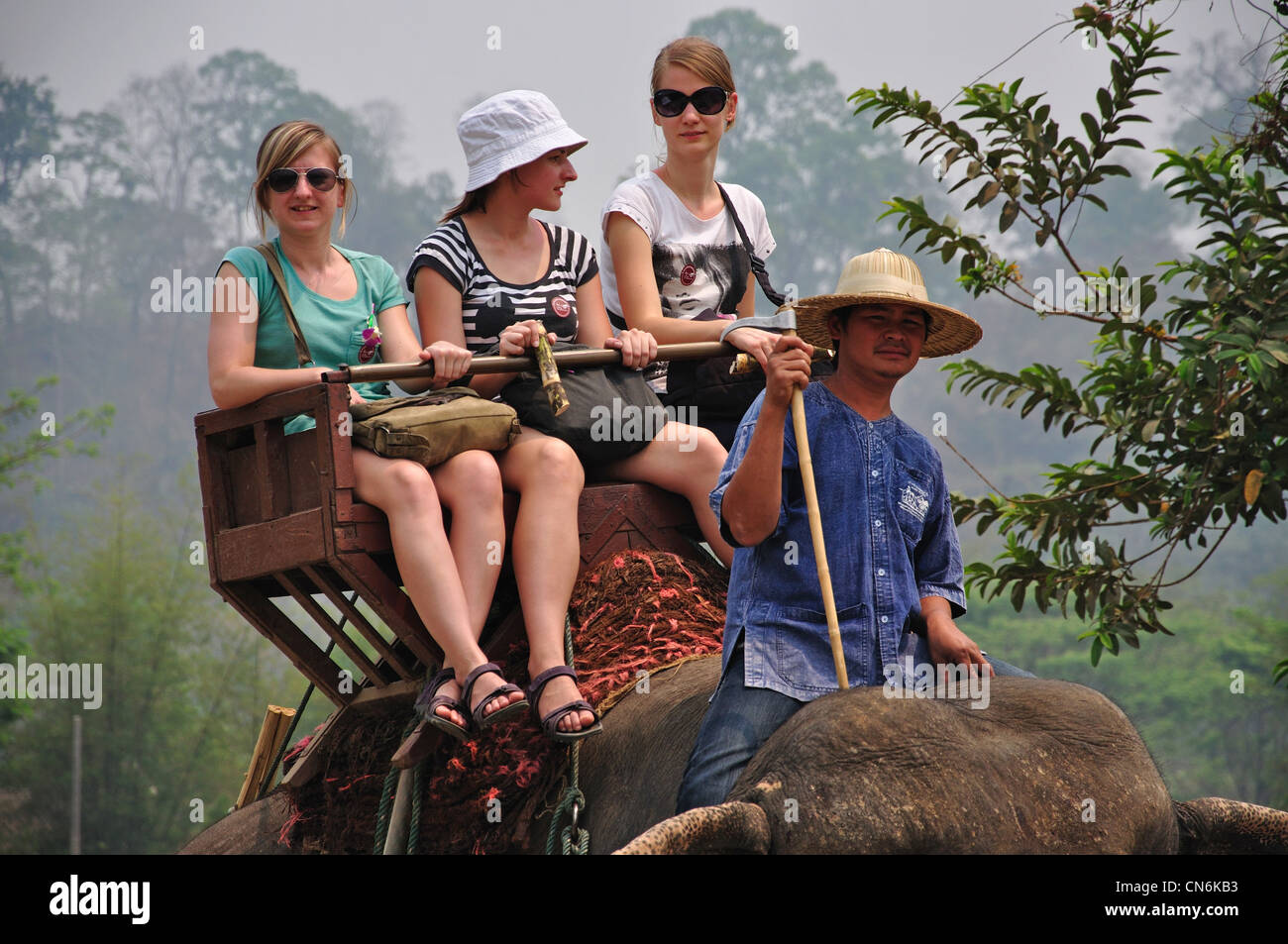 Giro dell'elefante a Maetaman Elephant Camp, vicino a Chiang Mai e Chiang Mai Provincia, Thailandia Foto Stock