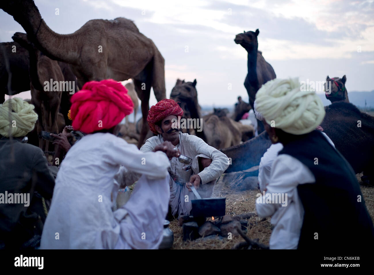 Rajasthani allevatori di cammelli tè durante l'annuale Fiera del cammello festival di Pushkar. Foto Stock