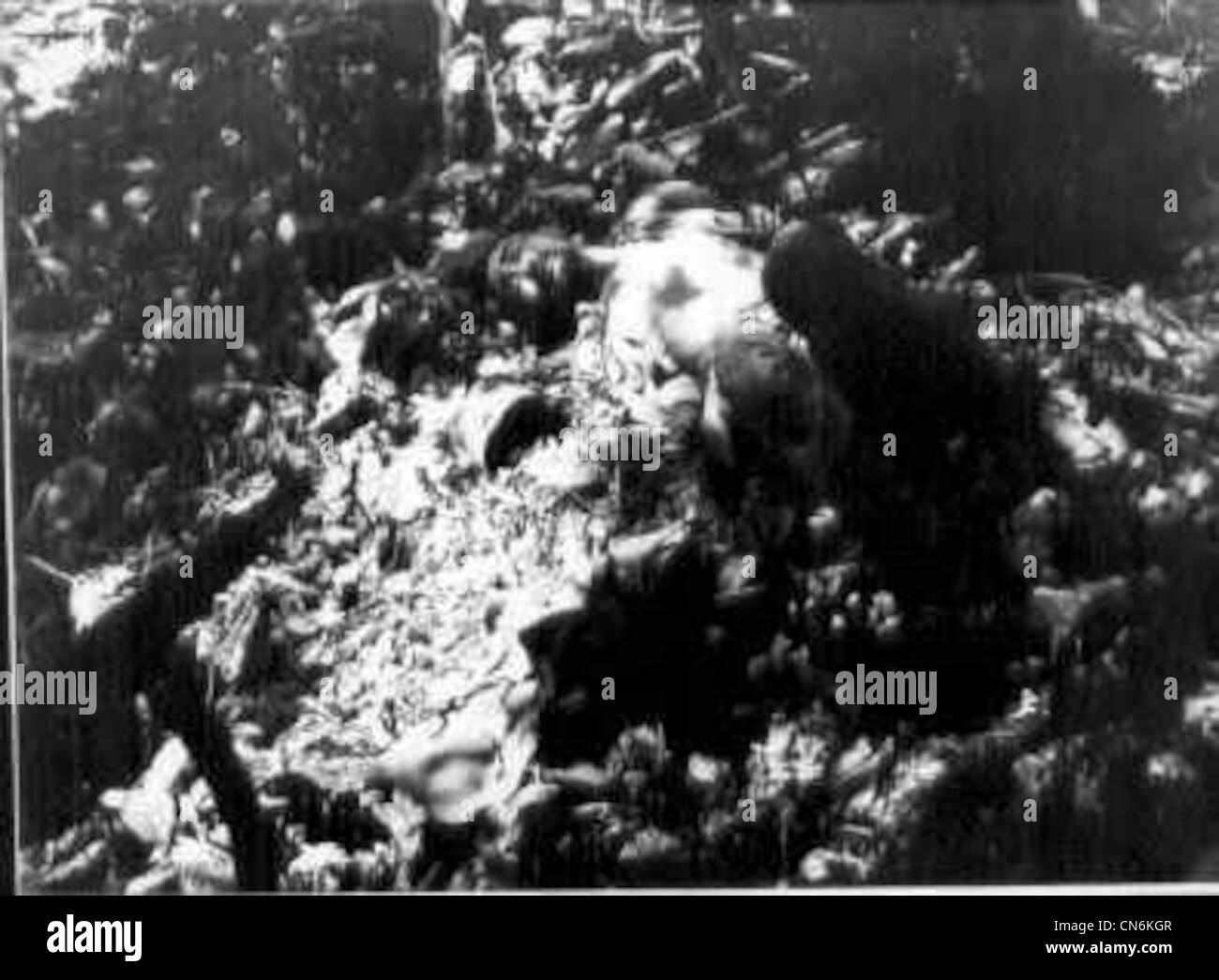 Morto il soldato giapponese incontrate da Carlson di seconda predatori marini durante la pattuglia su Guadalcanal nel novembre 1942 Foto Stock