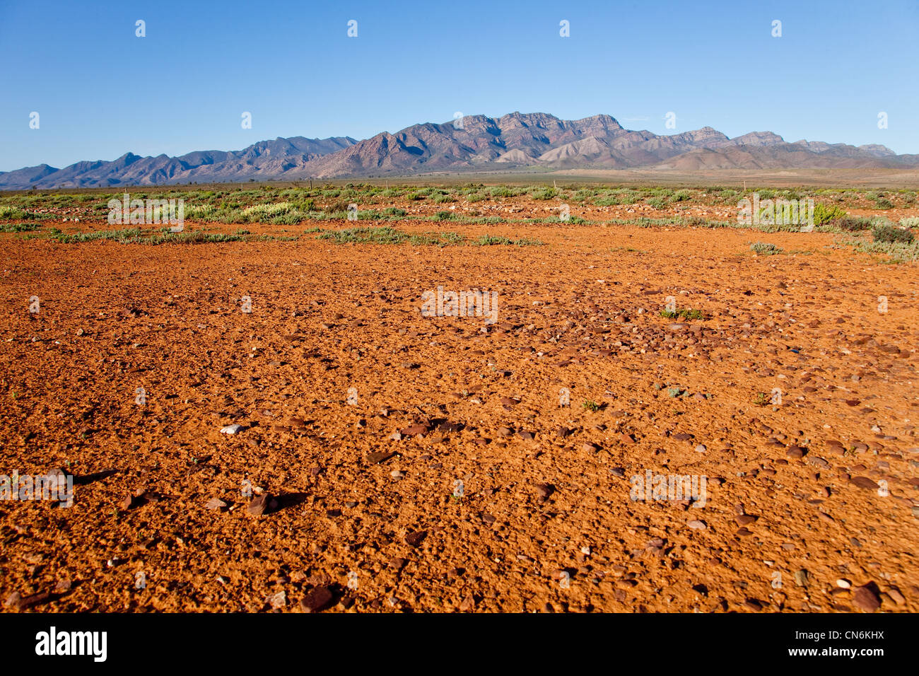 Il deserto rosso Flinders Ranges Australia del Sud. Foto Stock