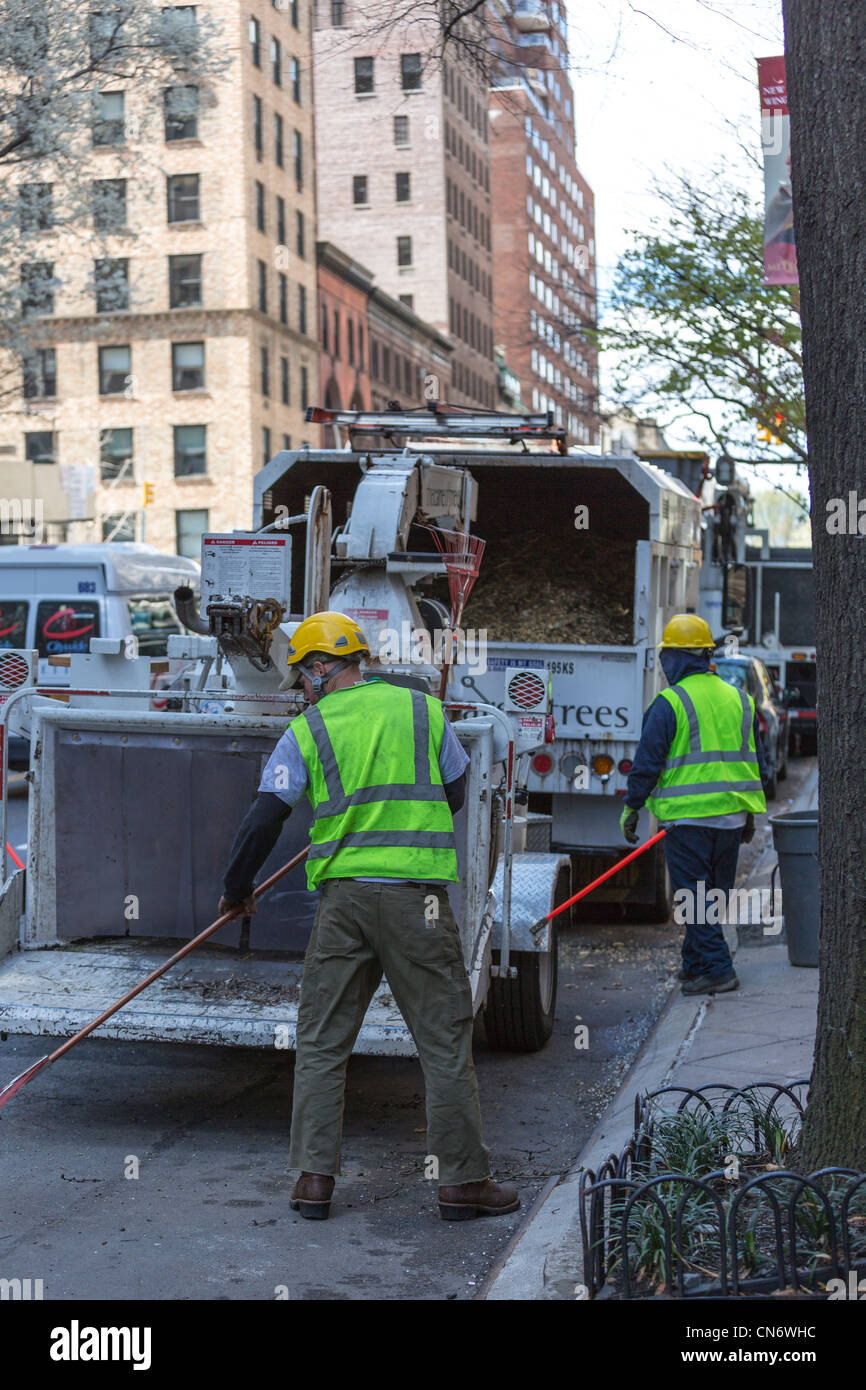 Operai operanti cippatrice, Manhattan, New York City, Stati Uniti d'America Foto Stock