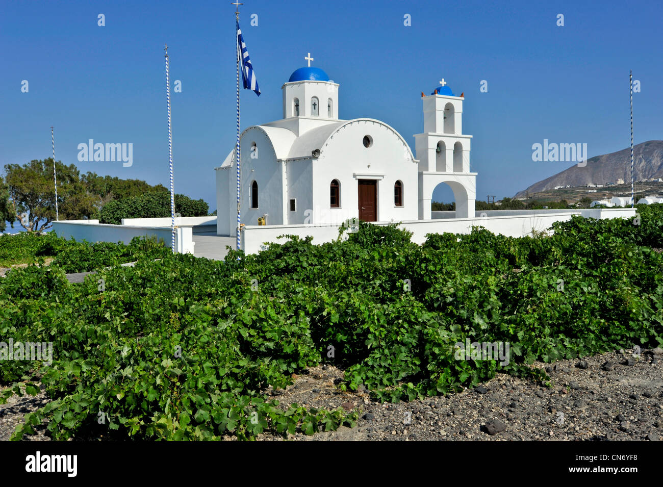 Europa Grecia CICLADI Santorini vigneti Foto Stock