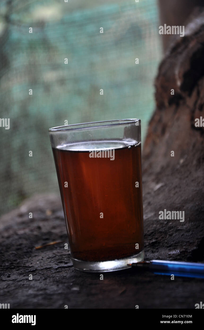Una chiusura del tè un bicchiere pieno di acqua calda tè nero - uno scenario naturale da un piccolo negozio di tè in kerala Wayanad Foto Stock