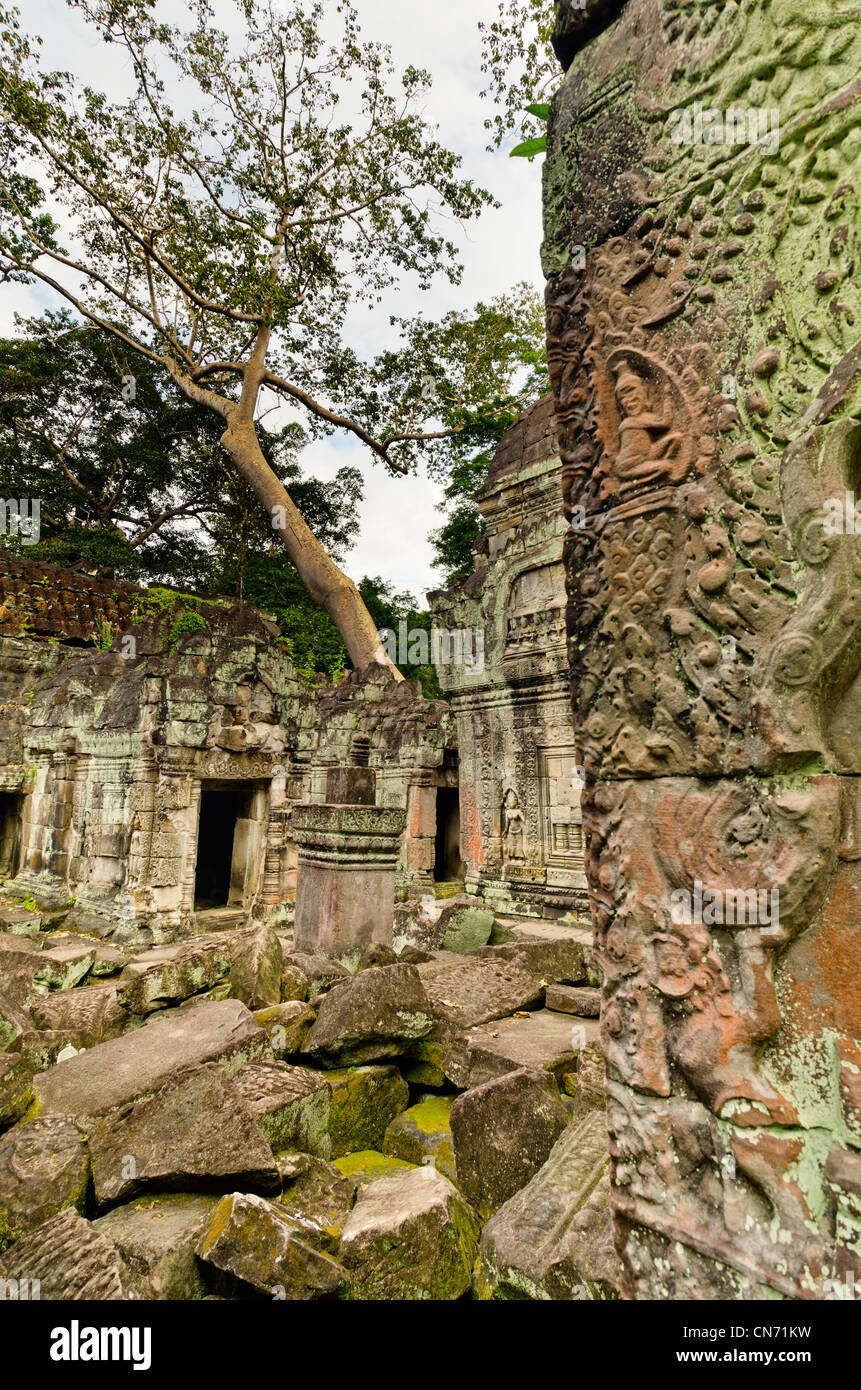 Preah Khan Temple, Ankor Wat, Cambogia Foto Stock