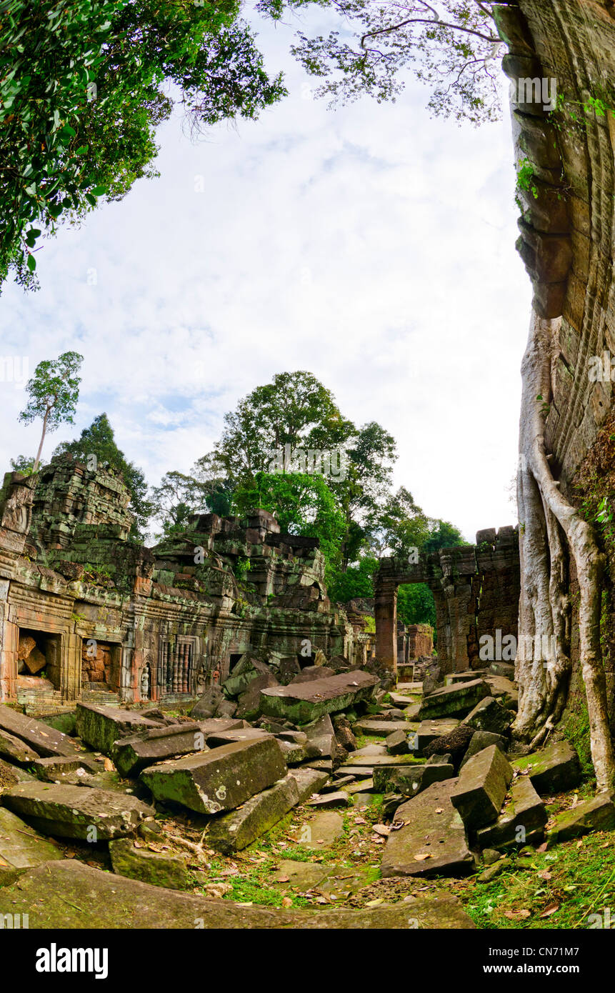 Preah Khan Temple, Ankor Wat, Cambogia Foto Stock