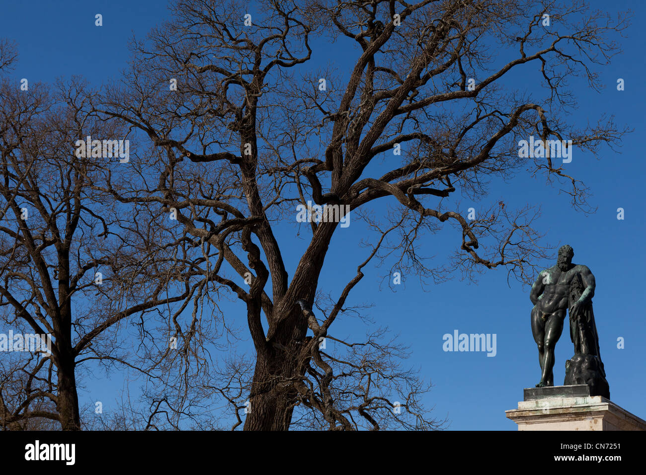 Statua colossale di Ercole fusa in bronzo di Cameron Gallery Carskoe Selo, Pushkin, San Pietroburgo Foto Stock