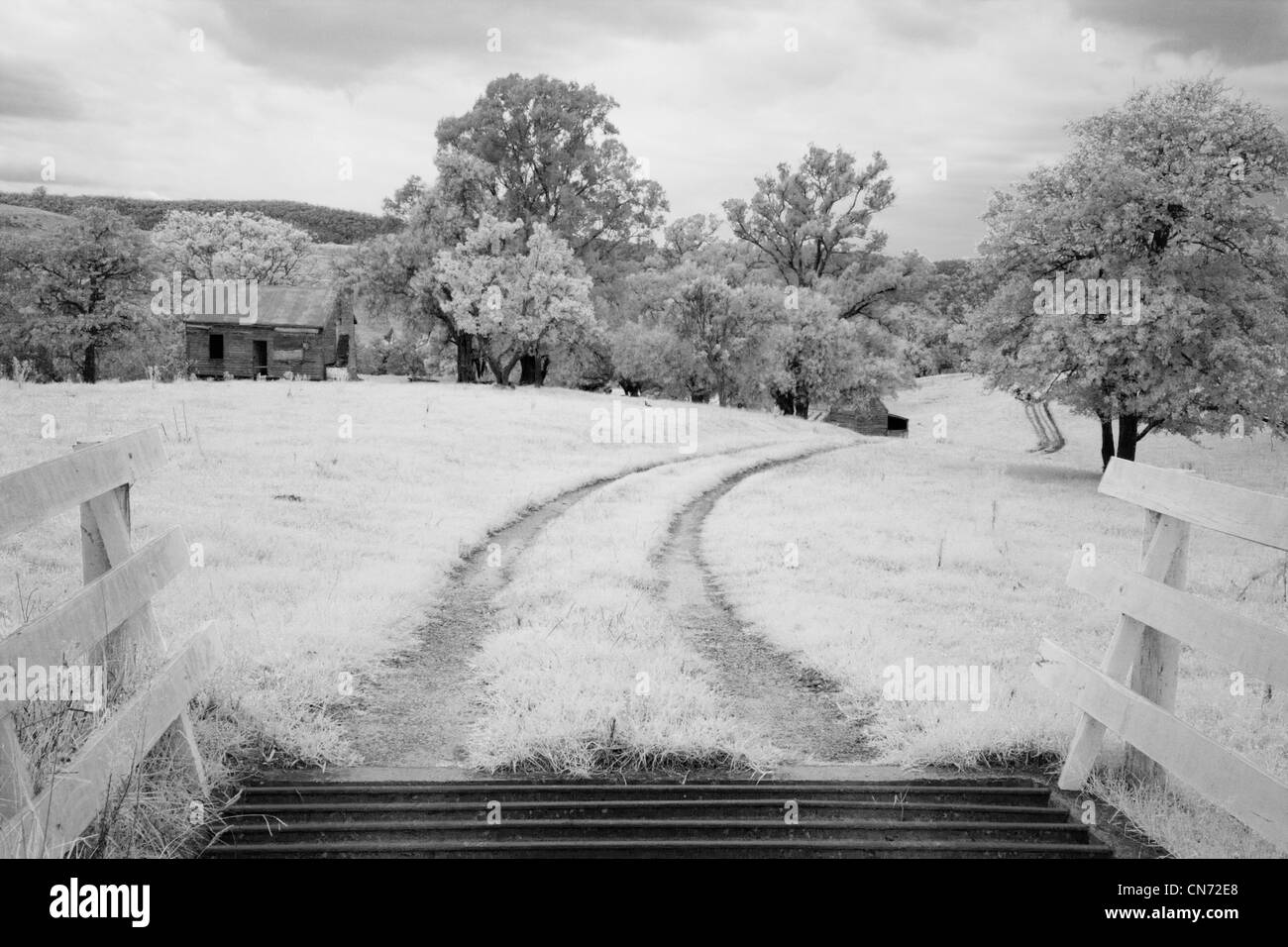 Down memory lane. griglia di bestiame e la strada che conduce attraverso la campagna vicino a Brogo NSW AUSTRALIA Foto Stock