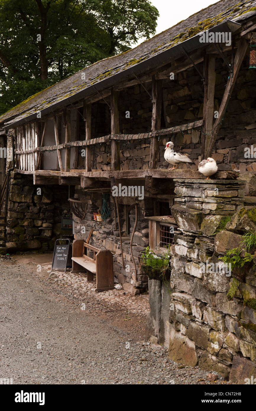 Regno Unito, Cumbria, Coniston, Yew Tree Farm, storico loft di tessitura oltre il fienile Foto Stock