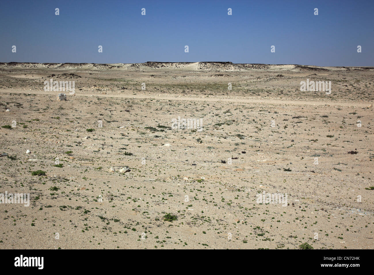 Landschaft im 'leeren Viertel', ar-Rub Al-Khali, Oman Foto Stock