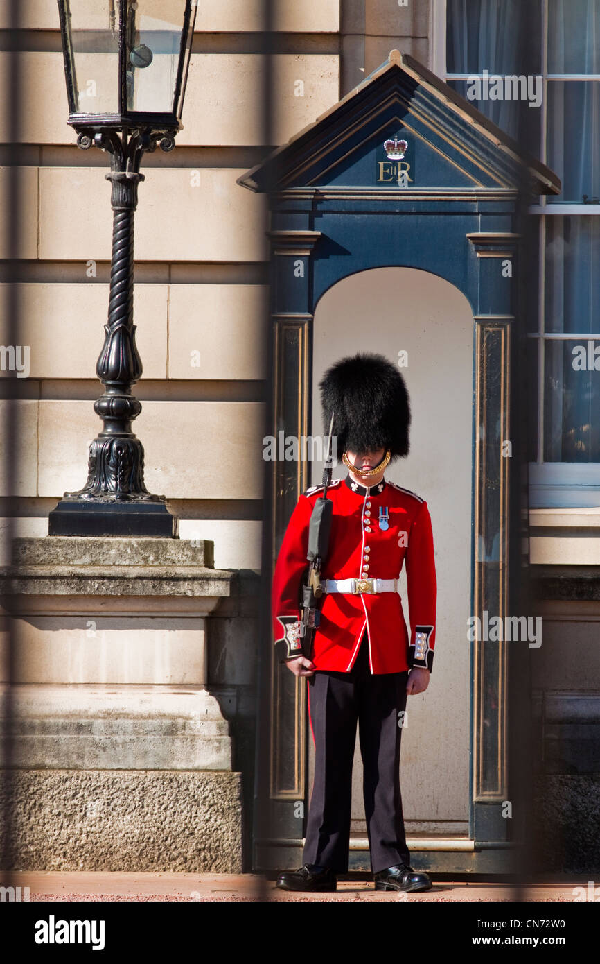 Guardsman irlandese a Buckingham palace Foto Stock