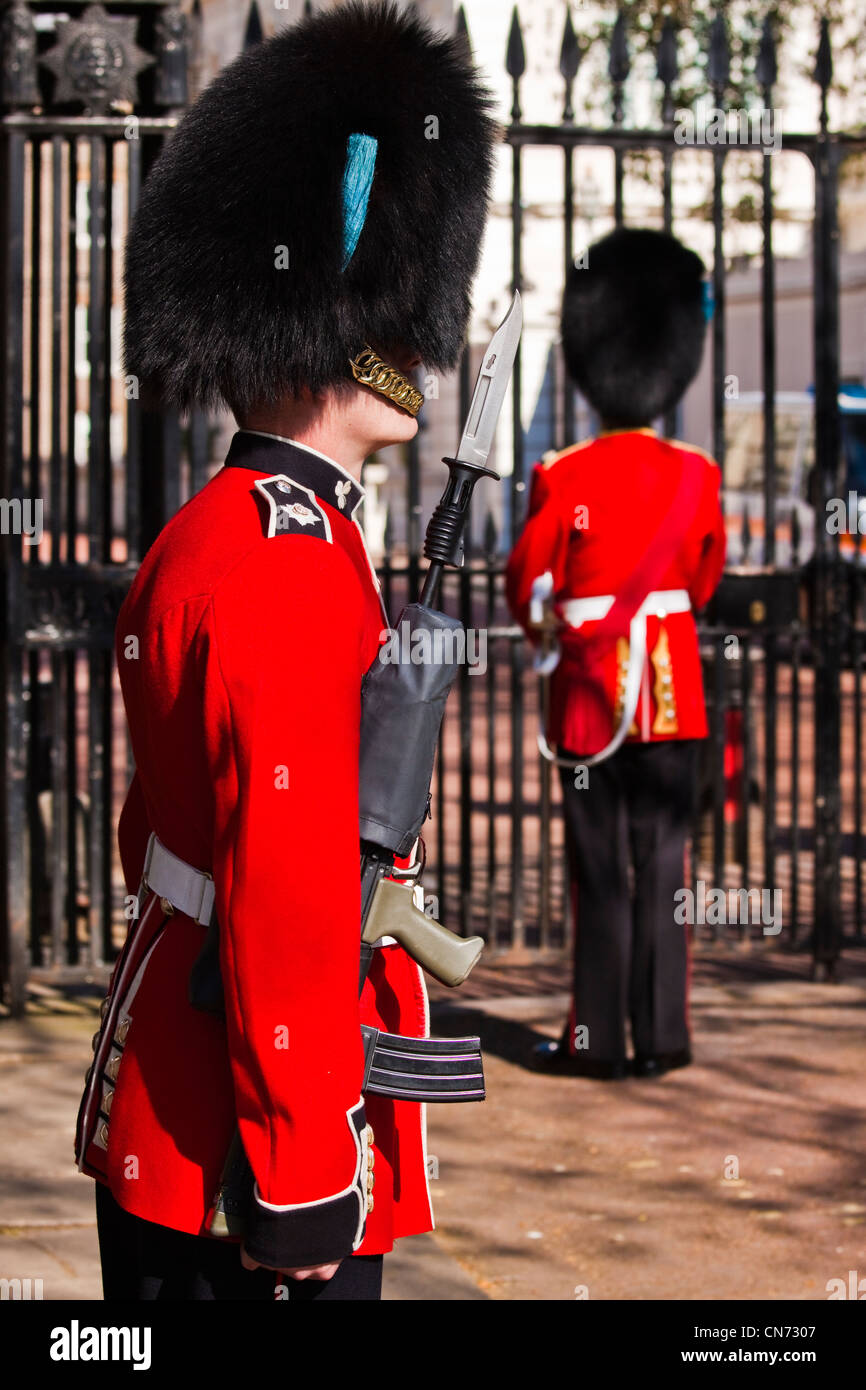 Guardsman irlandese al Clarence House Foto Stock