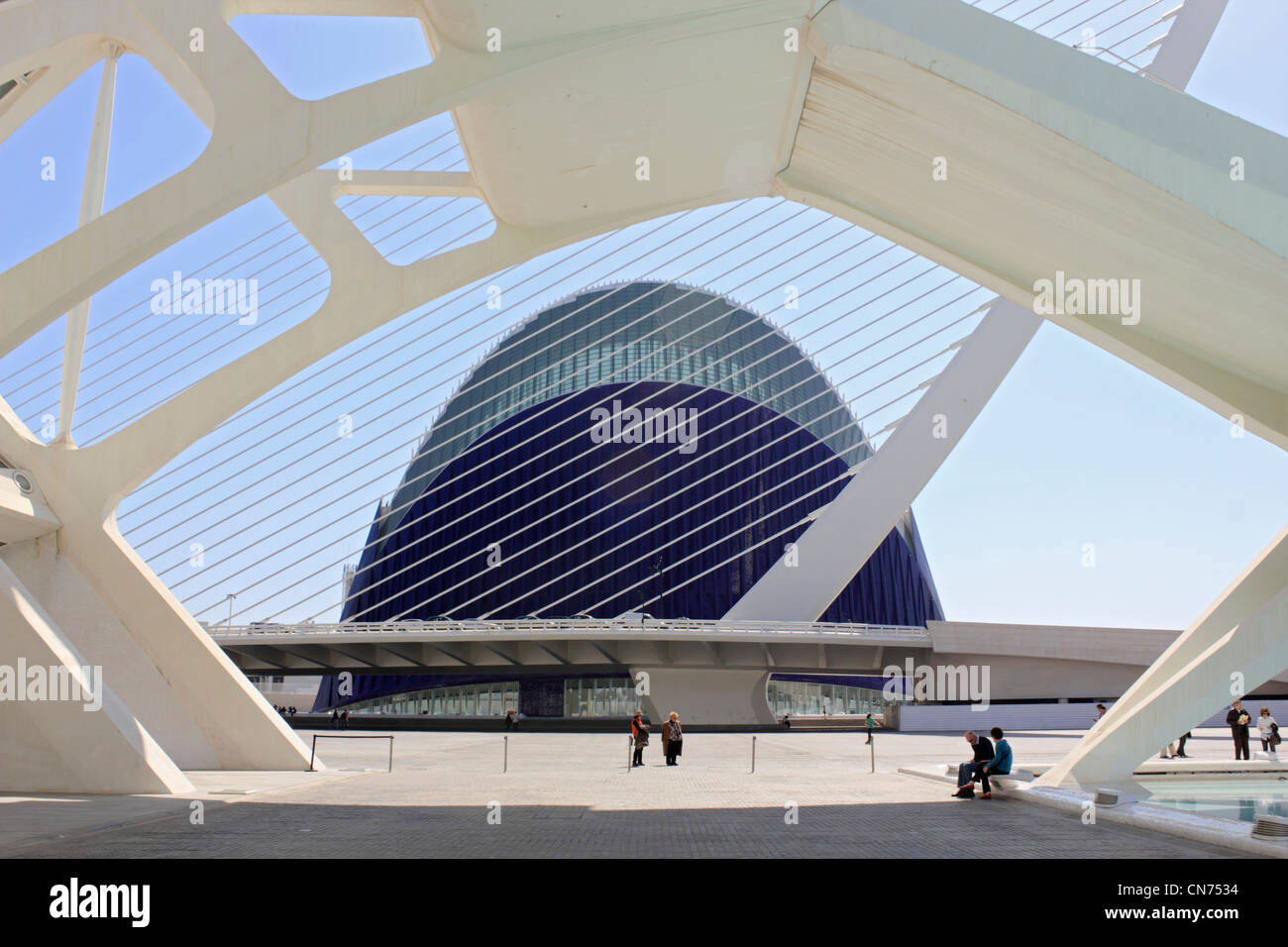 Museo della scienza, l'Agora e Santiago Calatrava di L'Assut de D'o ponte alla Città delle Arti e delle Scienze di Valencia Spagna Foto Stock