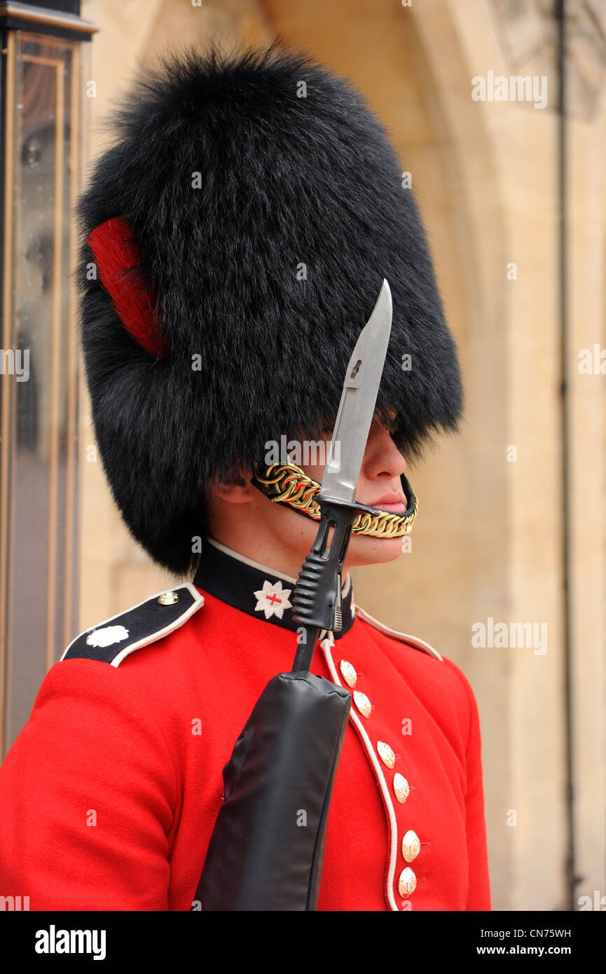 Una guardia Coldstream sul Royal Guard dazi al Regina Elizabeths residence, Il Castello di Windsor. Foto Stock