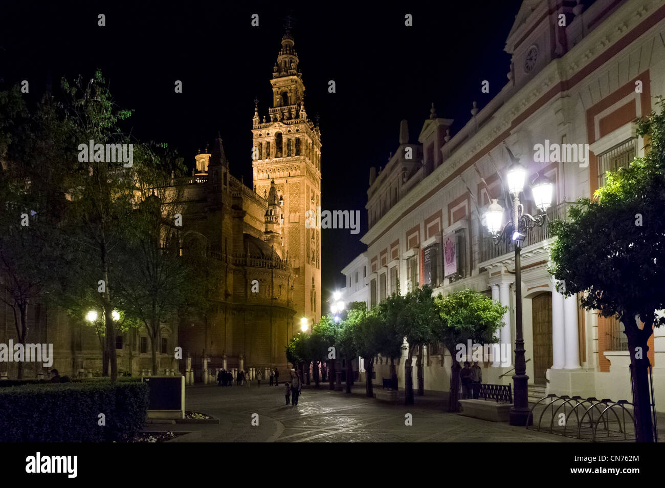 La torre Giralda di notte da Plaza del Trionfo, Cattedrale di Siviglia, Sevilla, Andalusia, Spagna Foto Stock