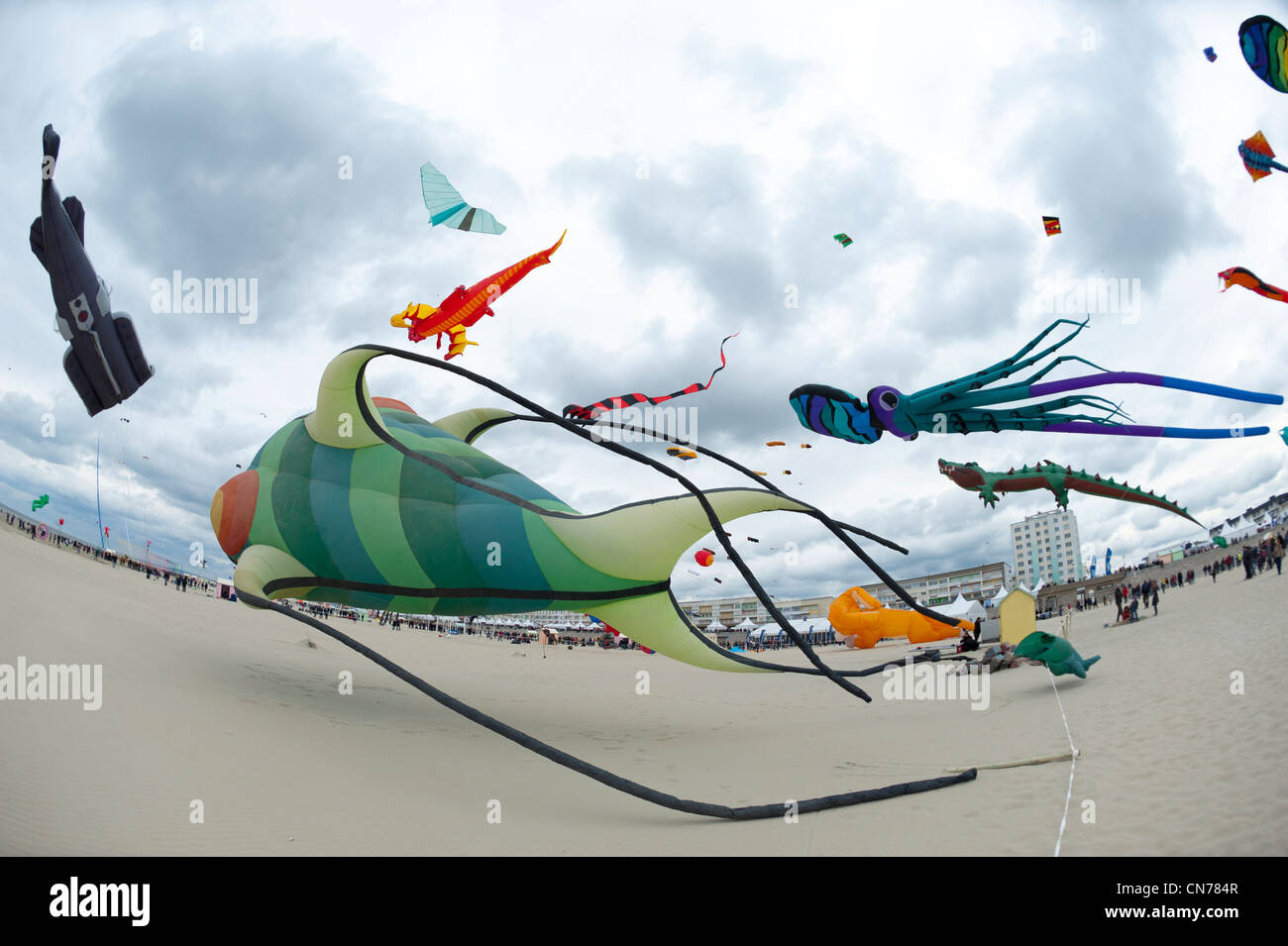 Berck sur Mer, International Kite Festival, Cerfs Volants Foto Stock