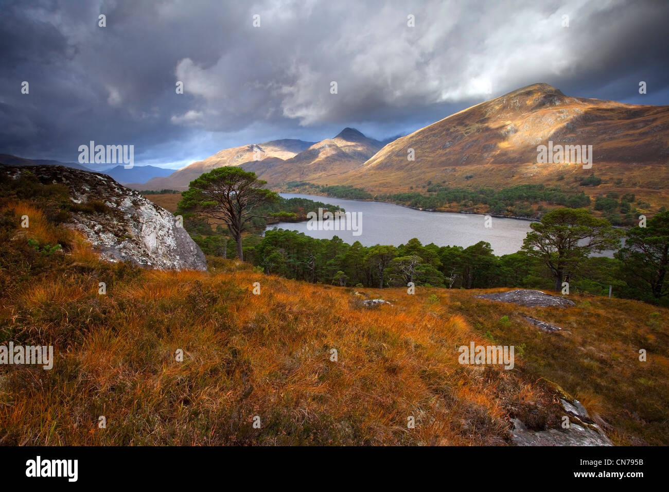 Vista verso il Loch Affric e Sgurr na Lapaich Foto Stock