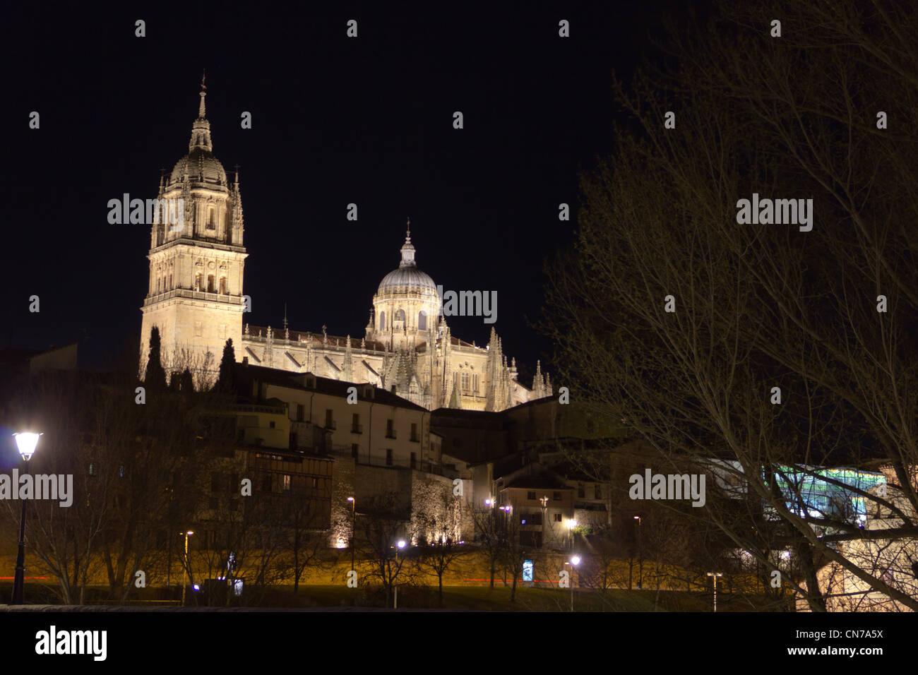 Una vista notturna della Cattedrale di Salamanca Foto Stock