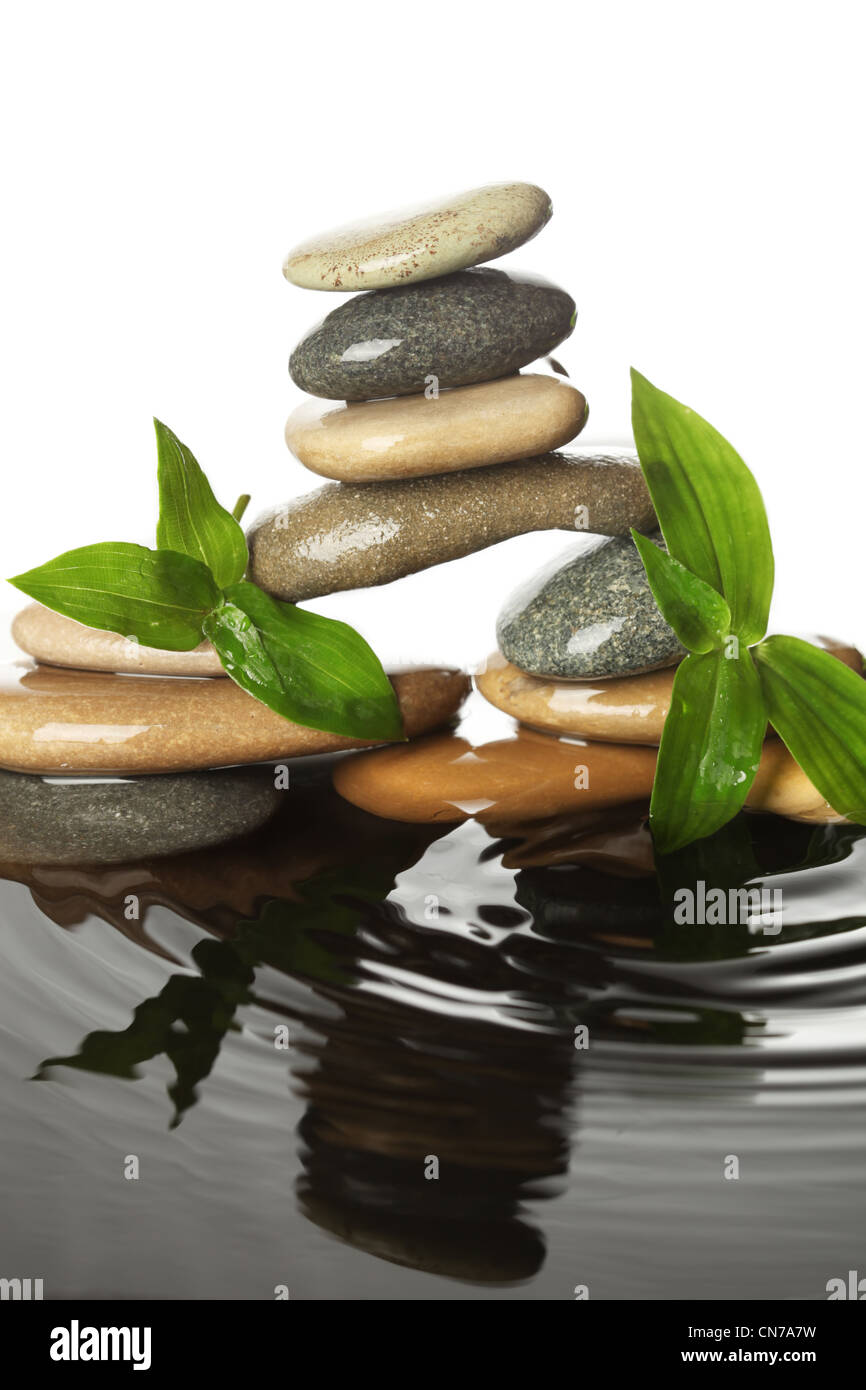 Le pietre in acqua con foglie Foto Stock