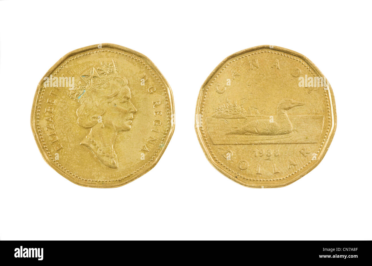 Uno canadese dollar coin isolati su sfondo bianco. Foto Stock