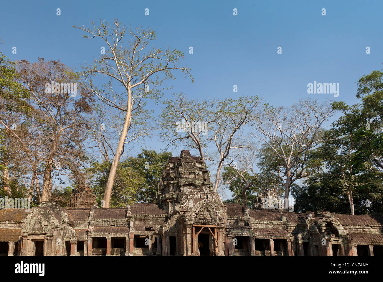 Angkor Wat, Ta Prohm porta del tempio di pietra e di dettaglio, Khymer architettura, Cambogia Foto Stock