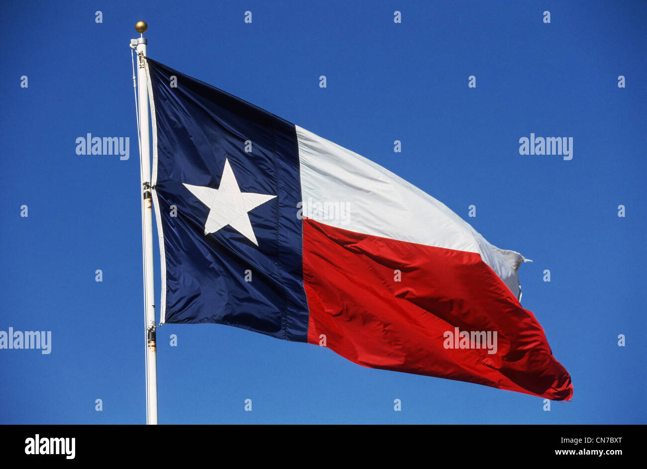 Texas State Flag, Austin, Texas, Stati Uniti d'America Foto Stock