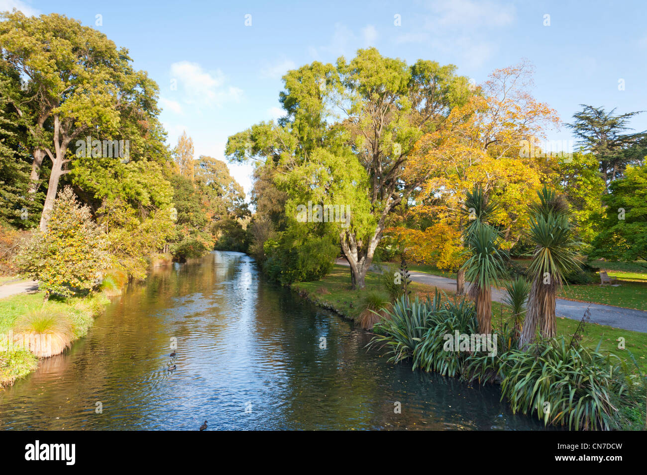 Il fiume Avon come esso passa attraverso il Parco Hagley, Christchurch, Nuova Zelanda, all'inizio dell'autunno. Foto Stock