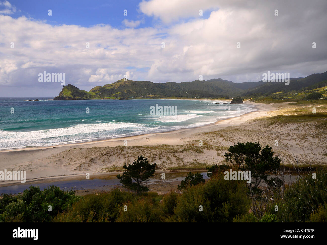 Onde, mare e sabbia, grande isola barriera, Auckland Nuova Zelanda Foto Stock