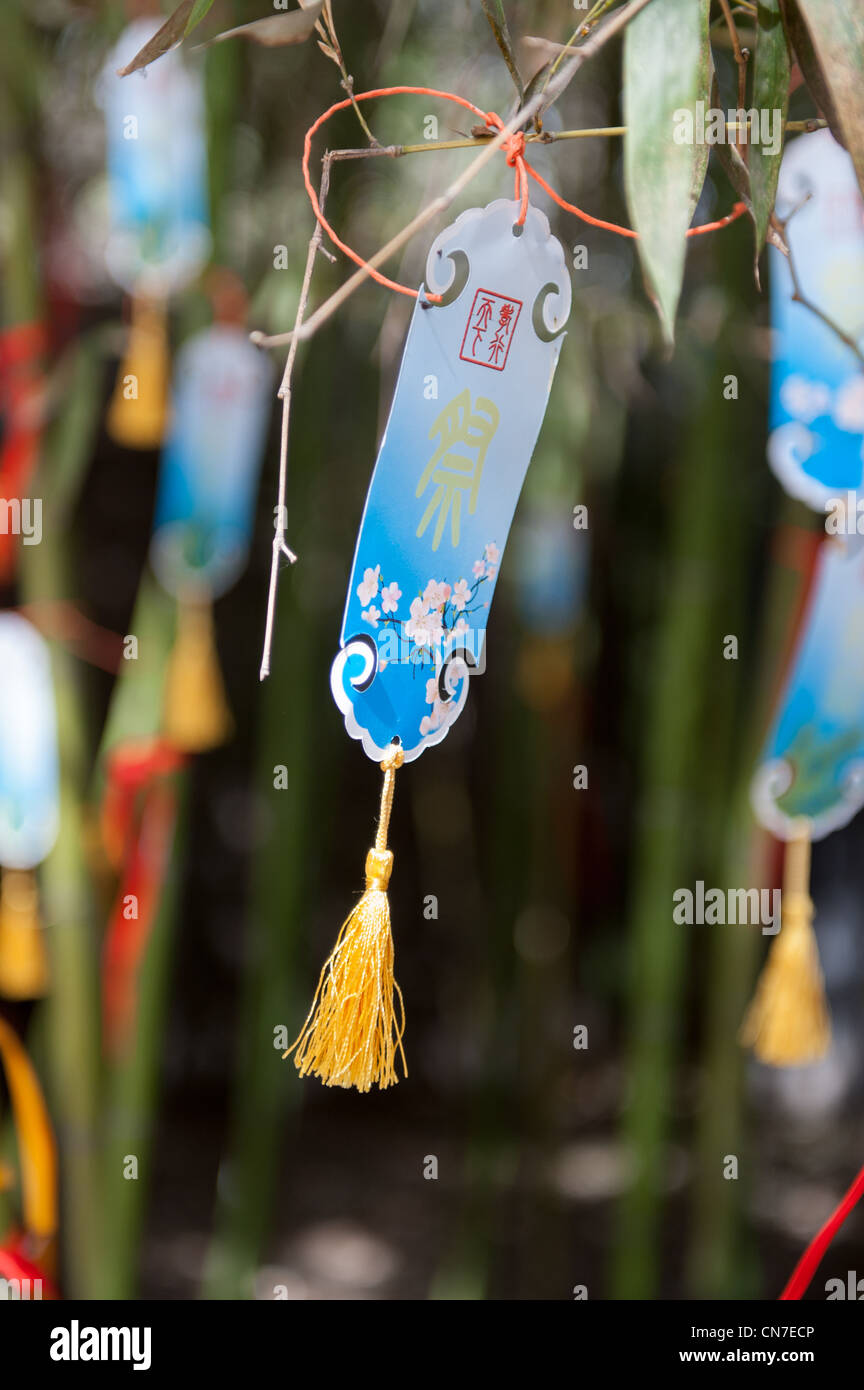 Pechino, Wanan cimitero. Tag con messaggi al defunto appesi in una foresta di bamboo. Foto Stock