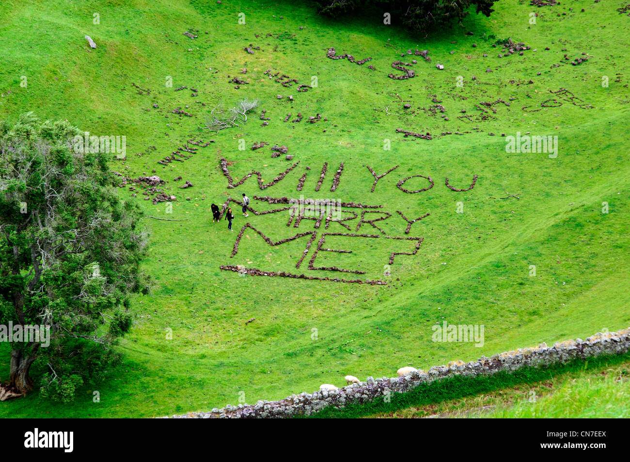 Ti sposerà me? Un messaggio per qualcuno di cui fuori in pietra su One Tree Hill a Auckland, Nuova Zelanda Foto Stock