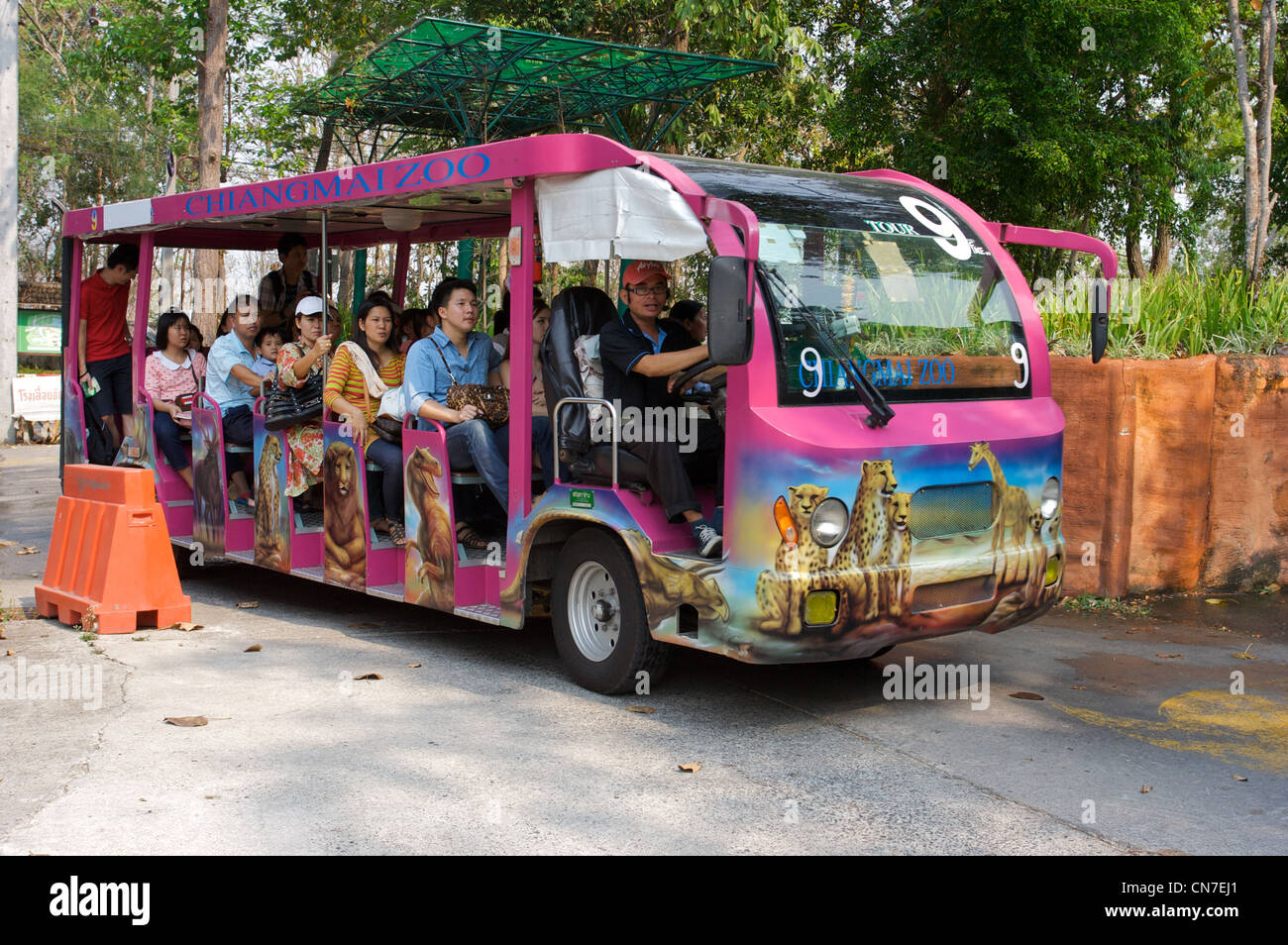Tour in navetta dello Zoo di Chiang mai, zoo panoramico, Chiang mai, Thailandia Foto Stock
