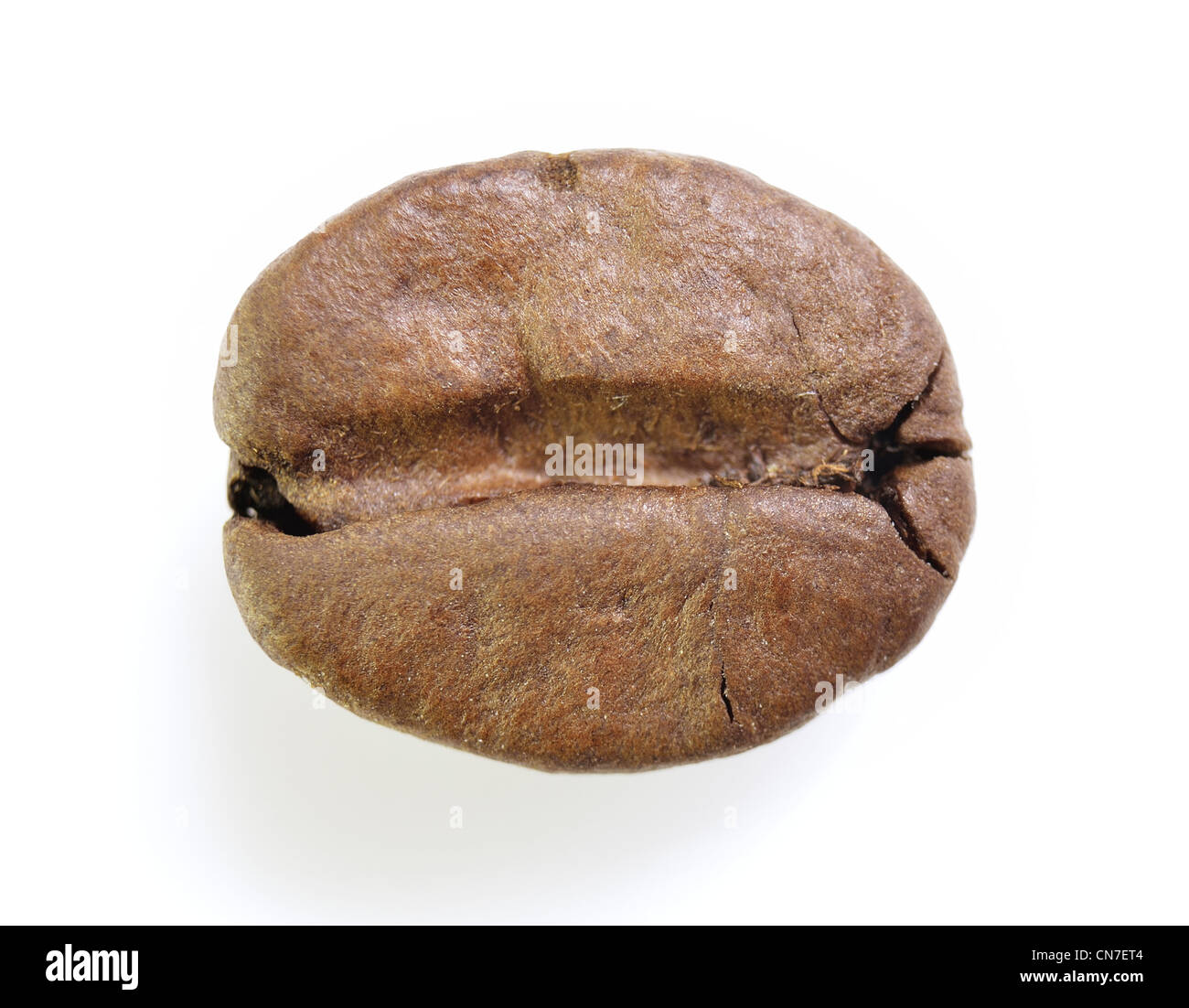 Extreme closeup colpo di chicco di caffè Foto Stock