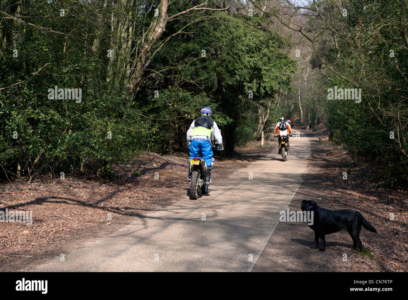 Moto sulla vecchia strada di Portsmouth attraverso Hindhead comune nel Surrey, una strada appartata e tranquilla lane Foto Stock