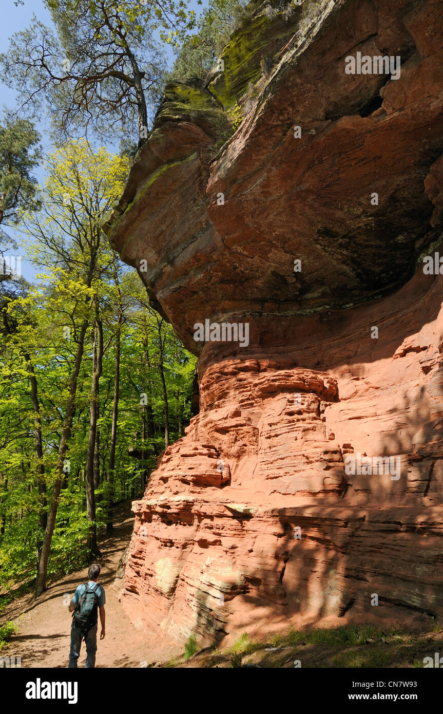 Francia, della Mosella, a nord di Bitche Roppeviller tra Francia e Eppenbrunn nel Palatinato in Germania, roccia arenaria Foto Stock