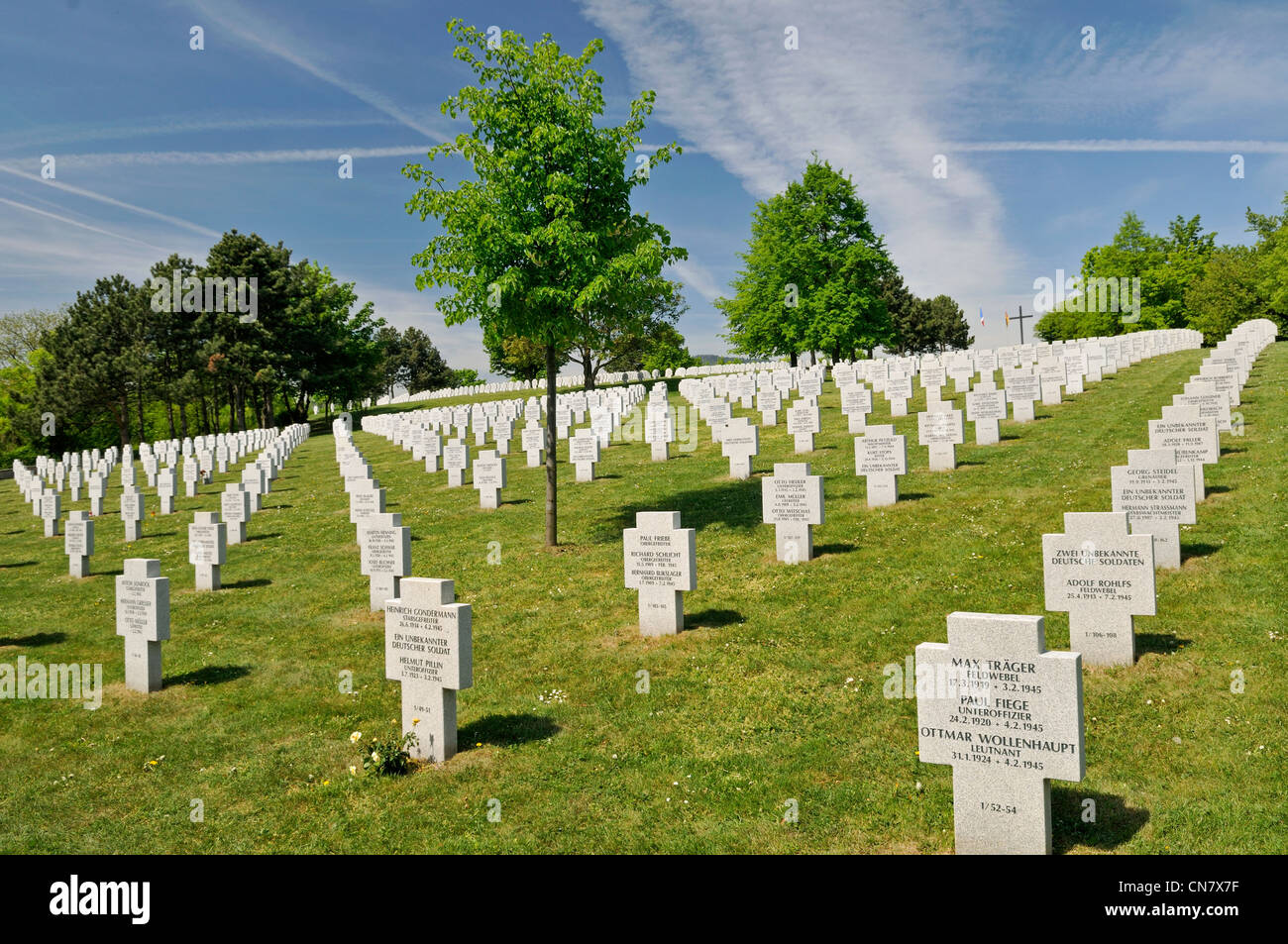 Francia, Haut Rhin, Bergheim, Grasserg Hill, cimitero militare tedesco, 1939 45 guerra, nel mese di aprile Foto Stock